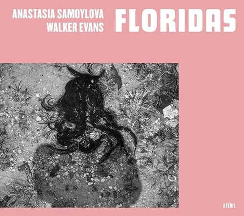 Cover of Floridas