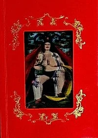 Cover of Ni lágrimas ni culpas