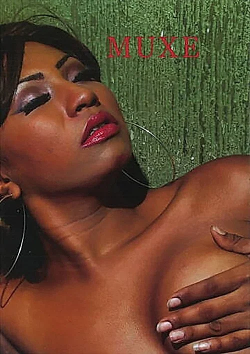 Cover of Musas Muxe