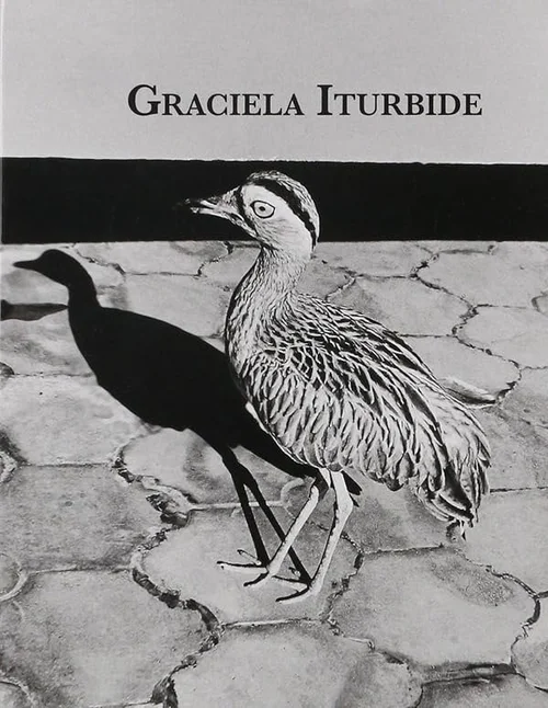 Cover of Las condiciones del pájaro solitario