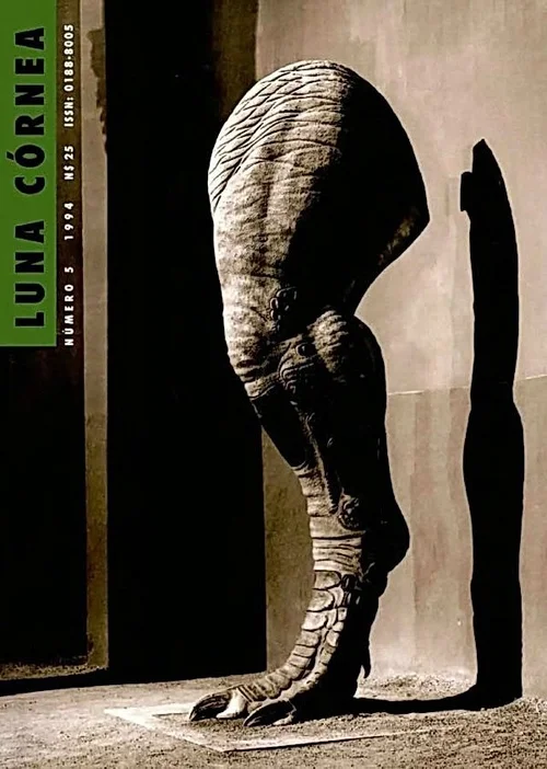 Cover of Luna Córnea 5