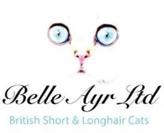 Belle Ayr Ltd logo