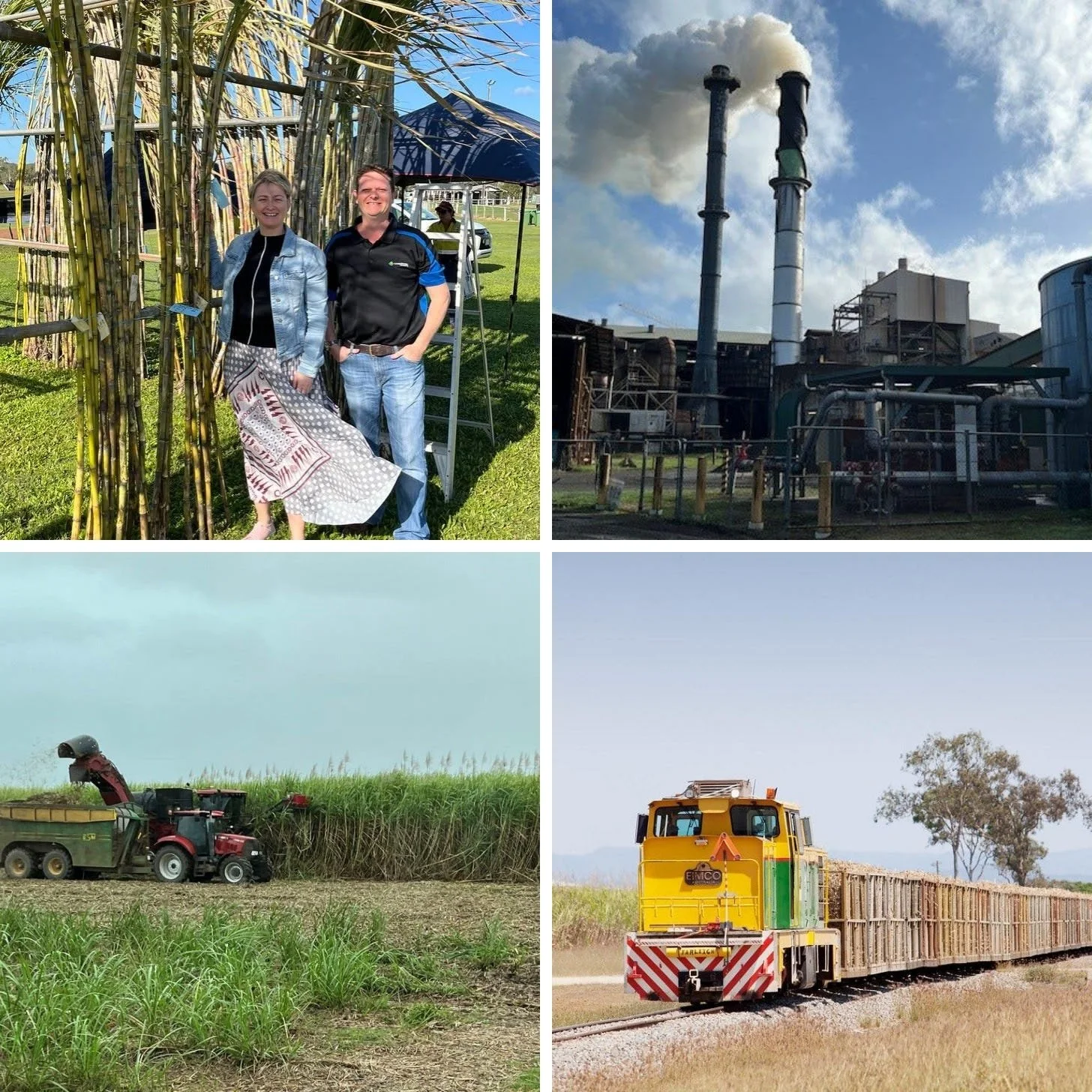 June News — newsletter photo