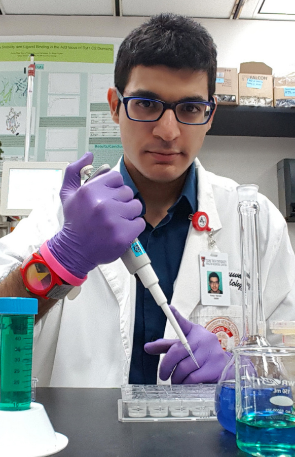 Faraz Harsini