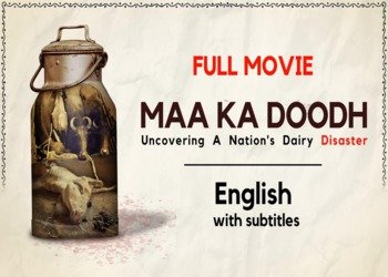 life-changing documentary