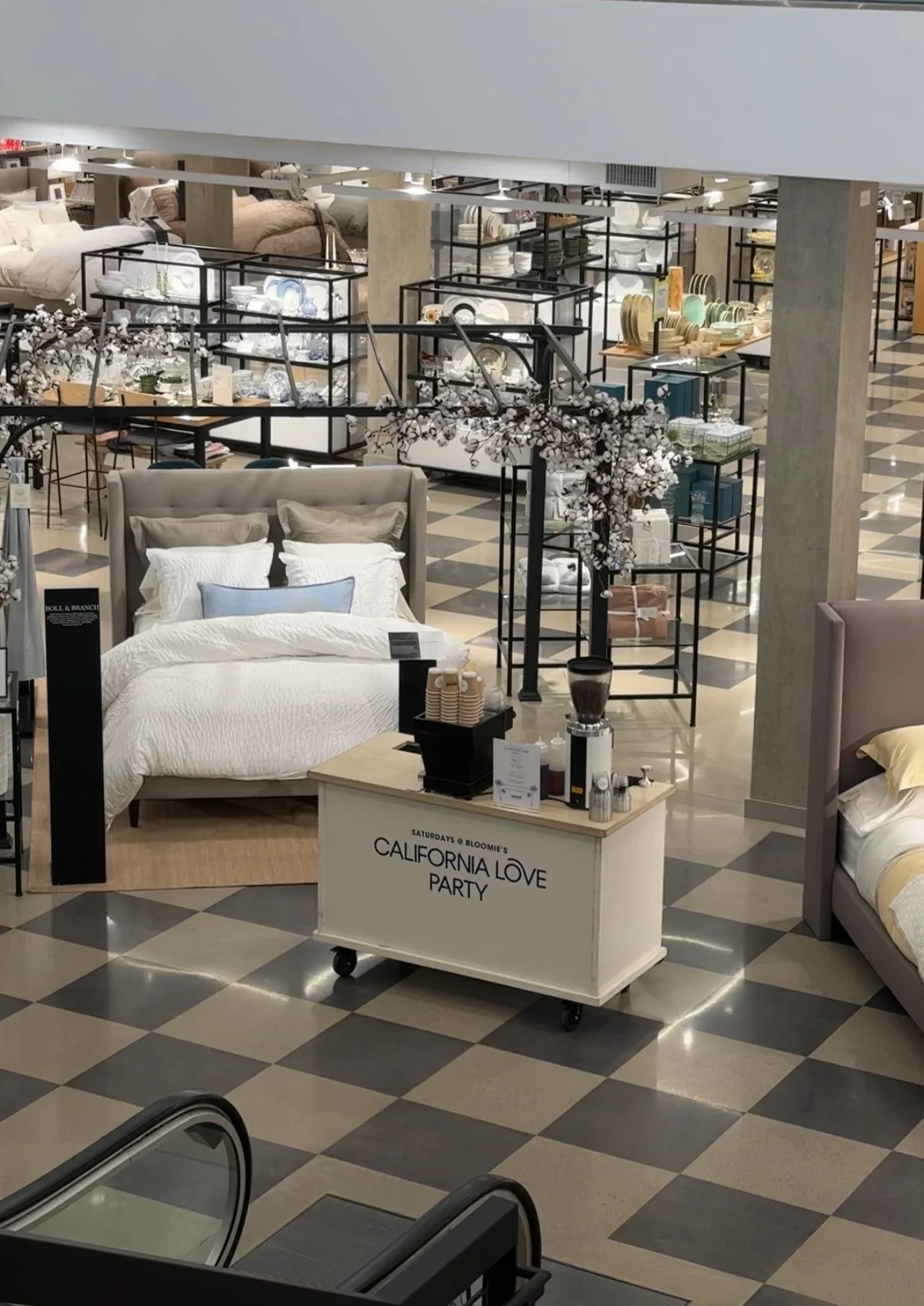 Nood Coffee drinks lineup at an event