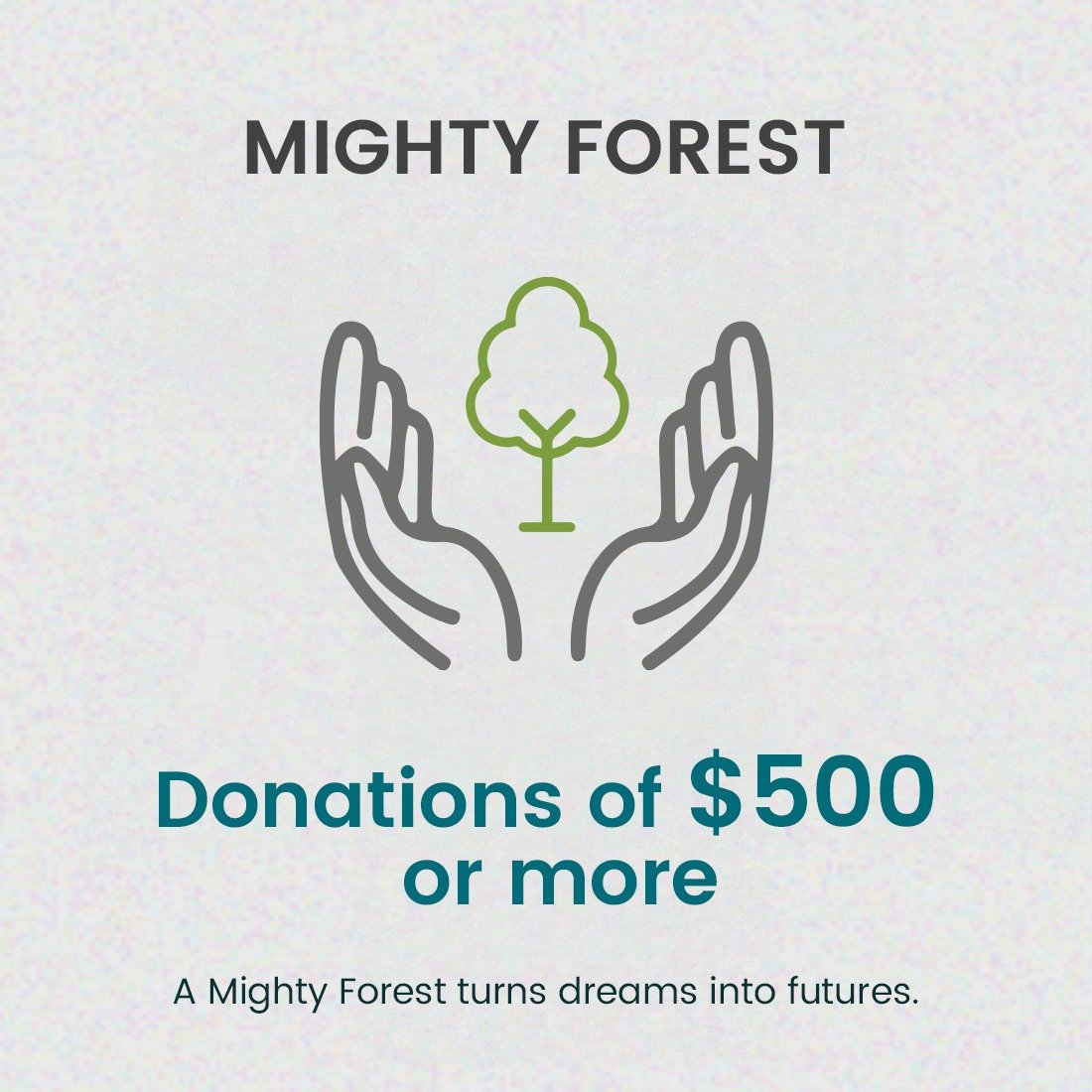 Mighty Forest