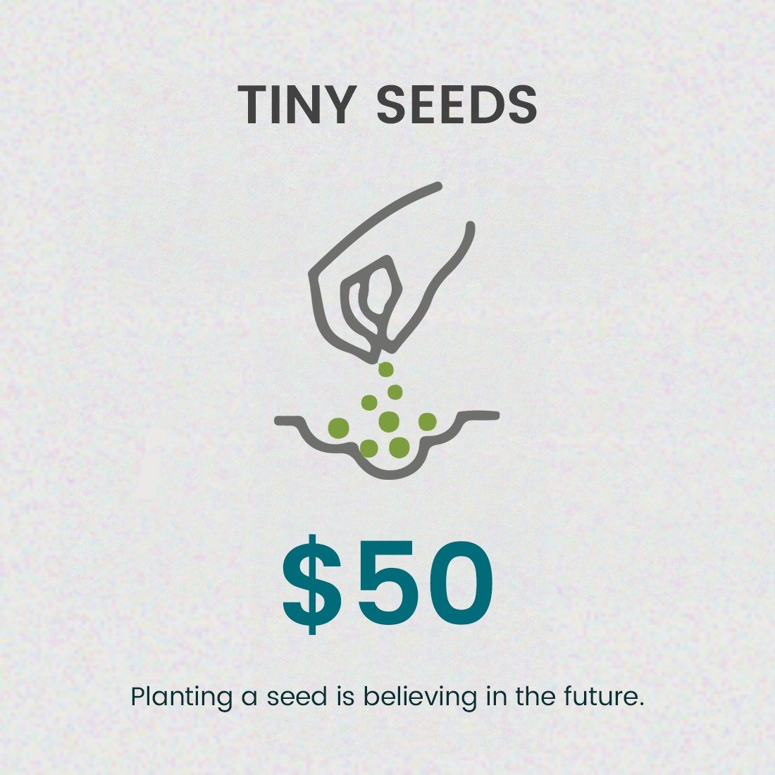 Tiny Seeds