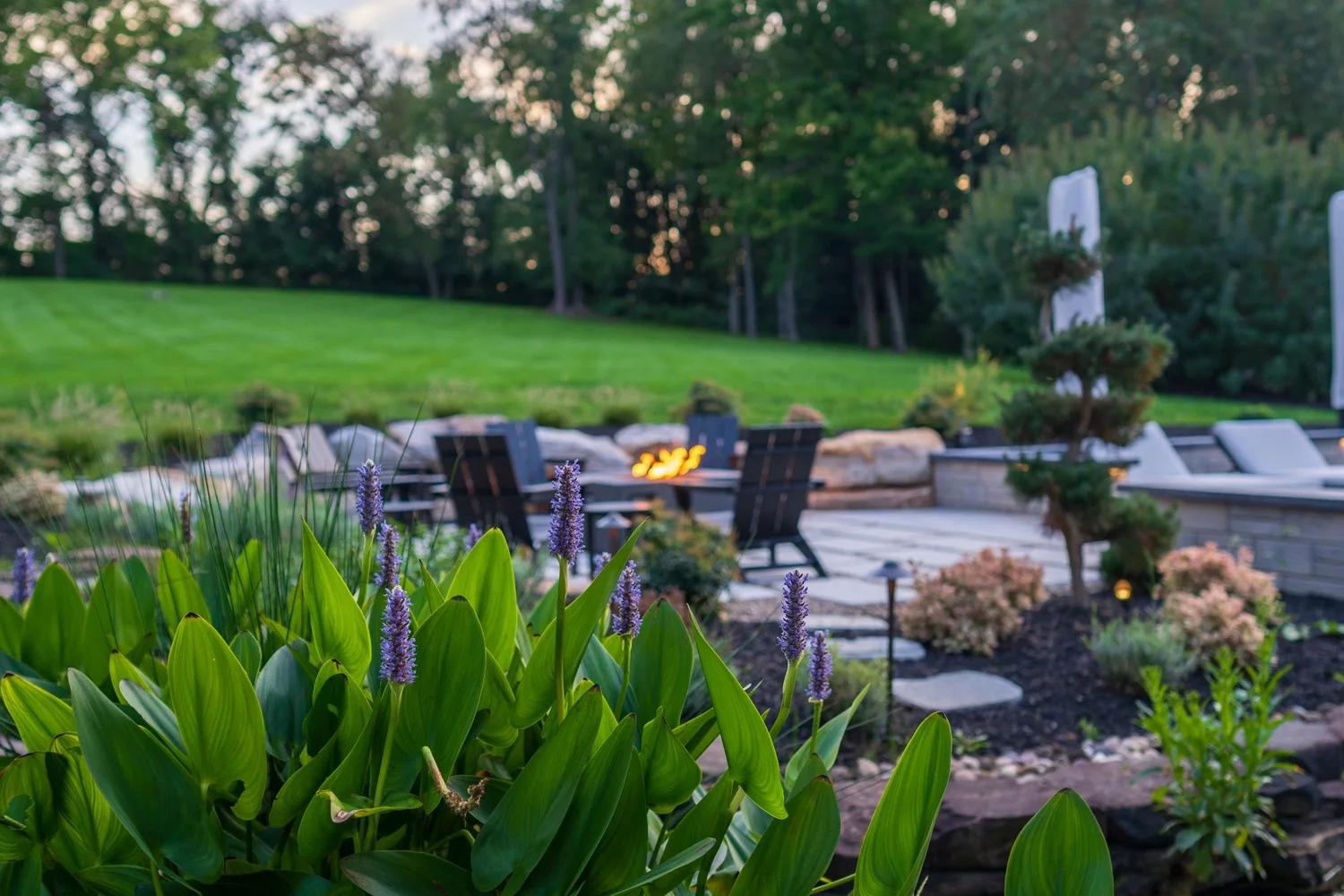 Planting by the pond, with the fire pit seating beyond