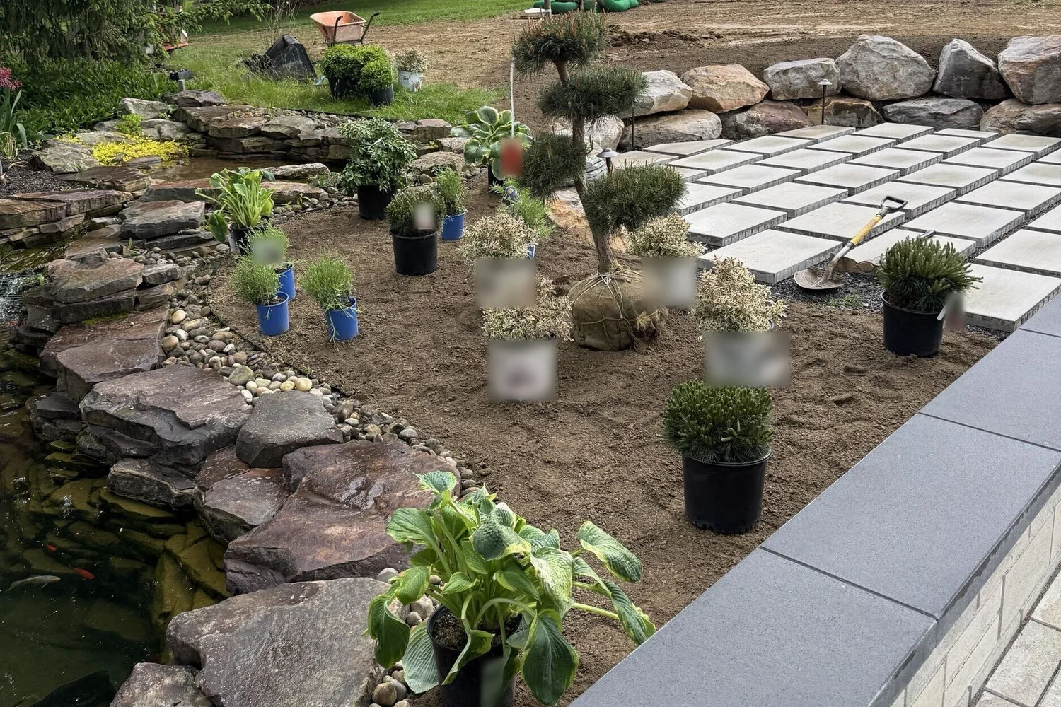 Plants set out by the pond and the new pavers