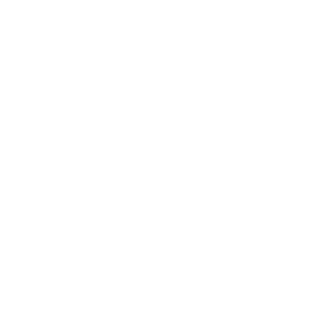 Donor Strategy & Fundraising