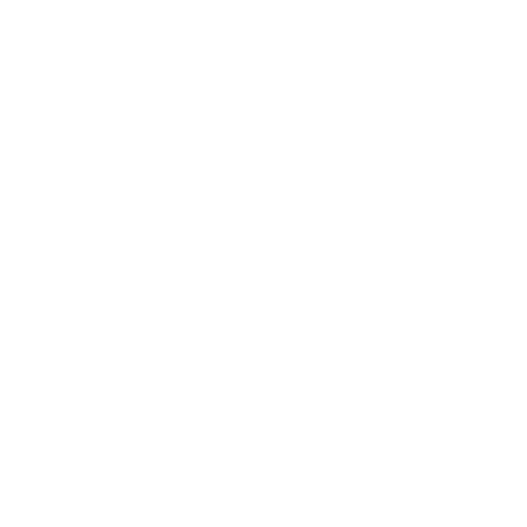 Brand Strategy