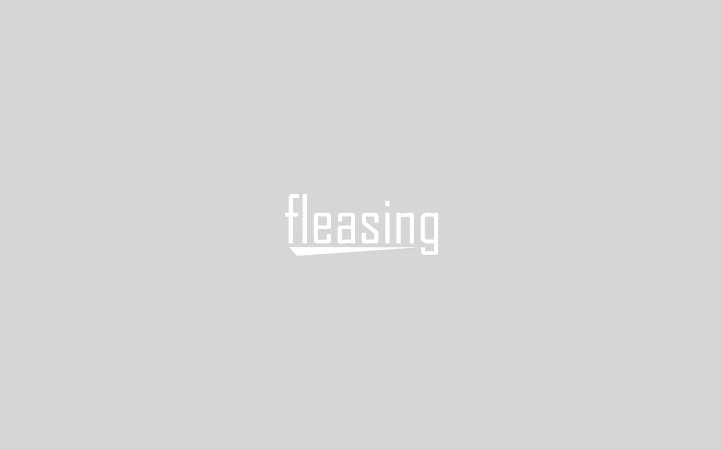 Fleasing logo (loading)