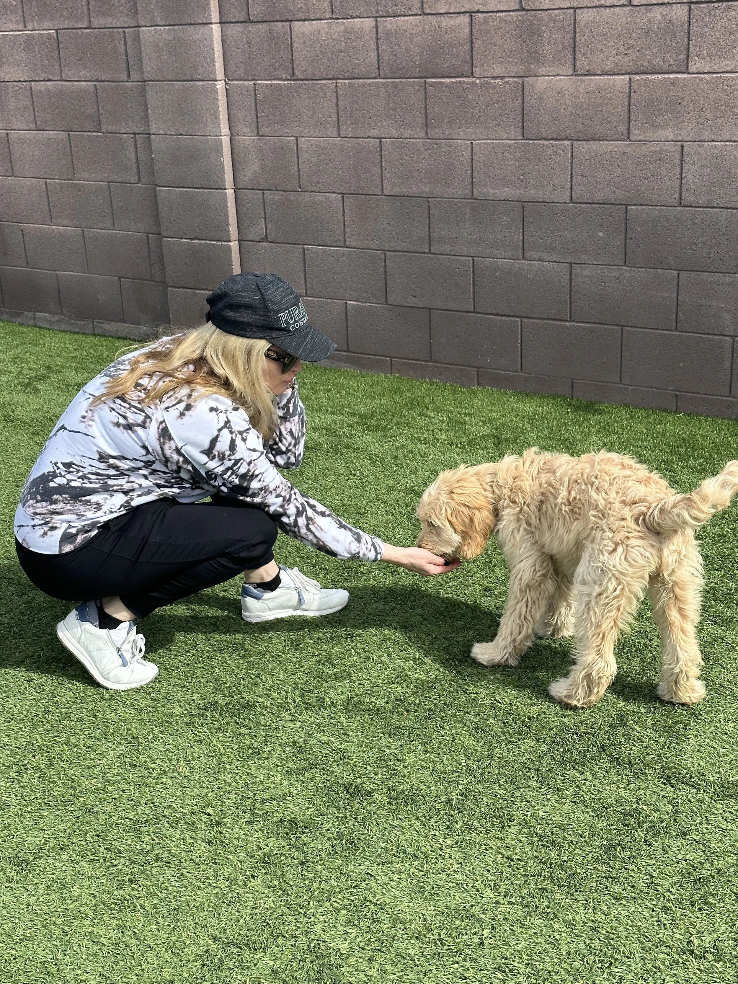 Balancing Paws private training session