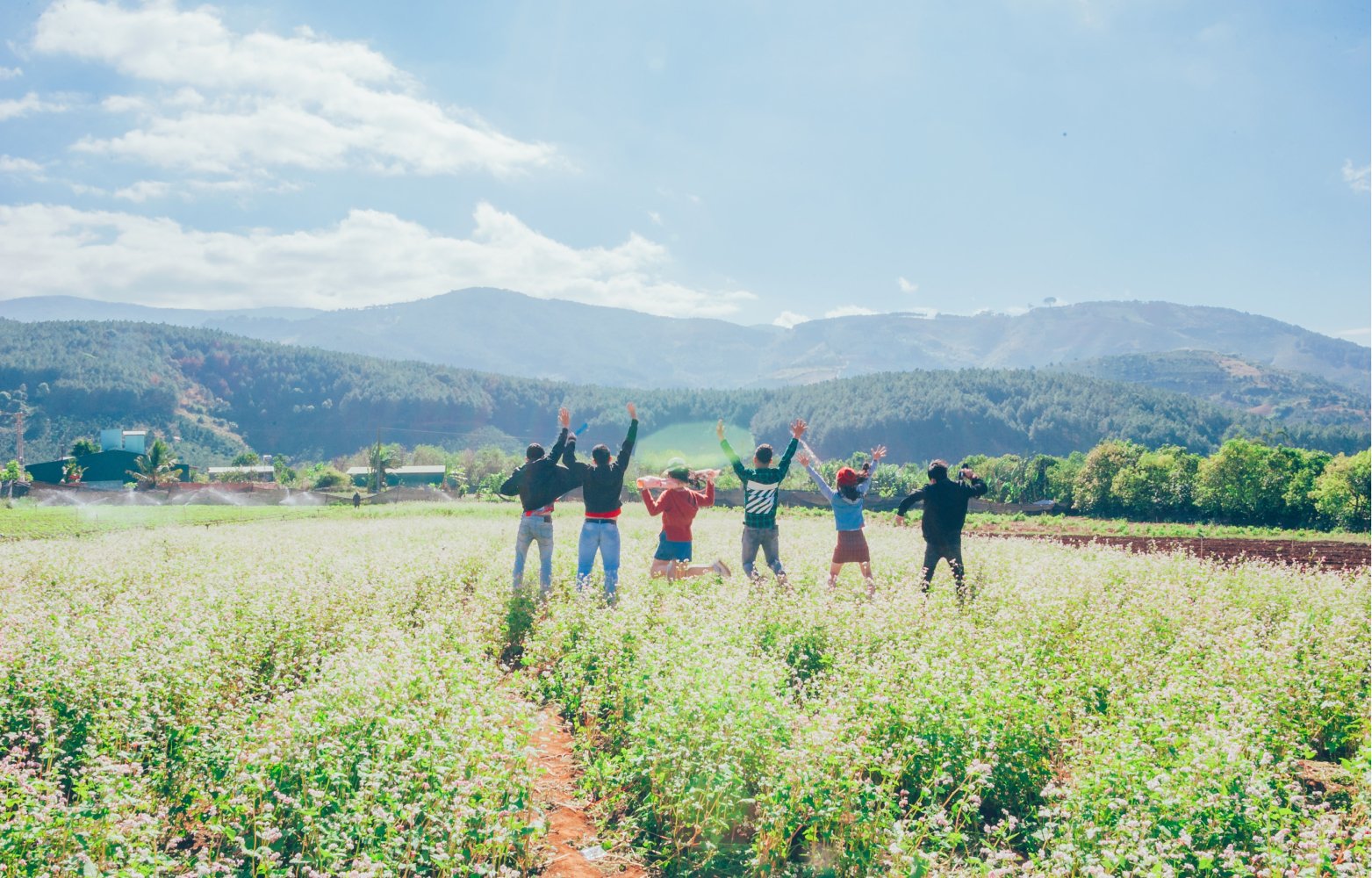 People in a crop field jumping for a group photo.
