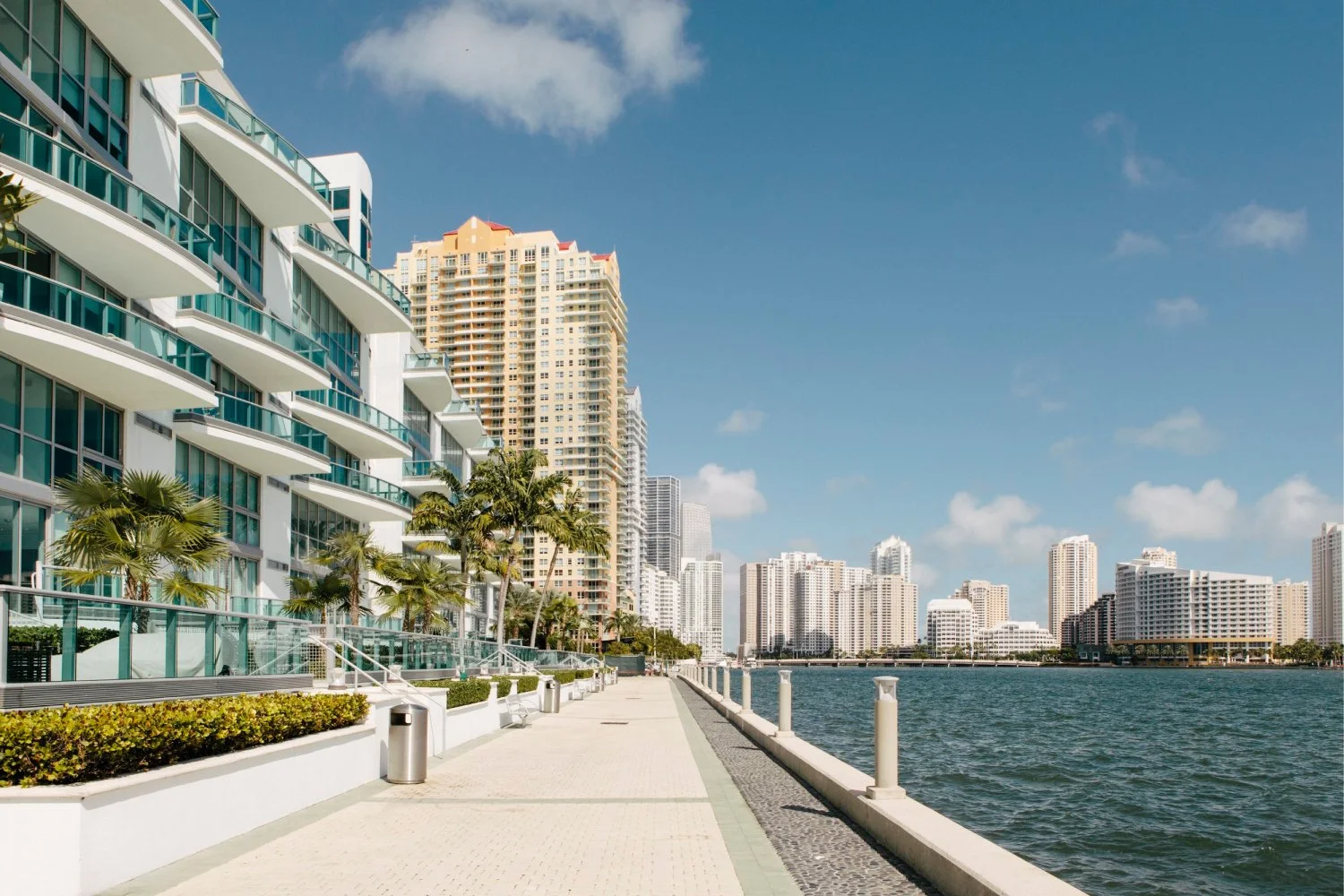 city buildings overlooking