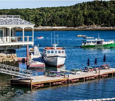 barhharbor