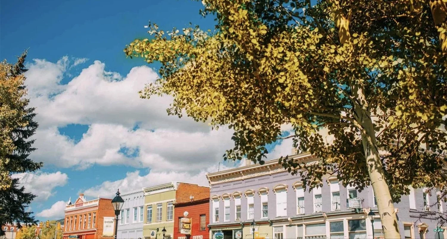 Harrison Avenue in autumn