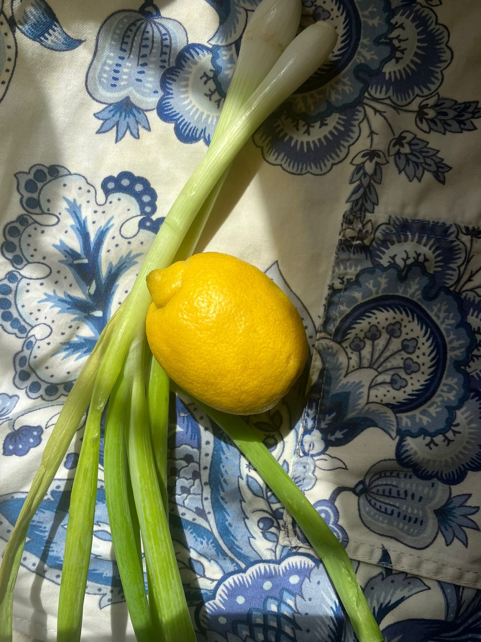 Lemon and scallions on table