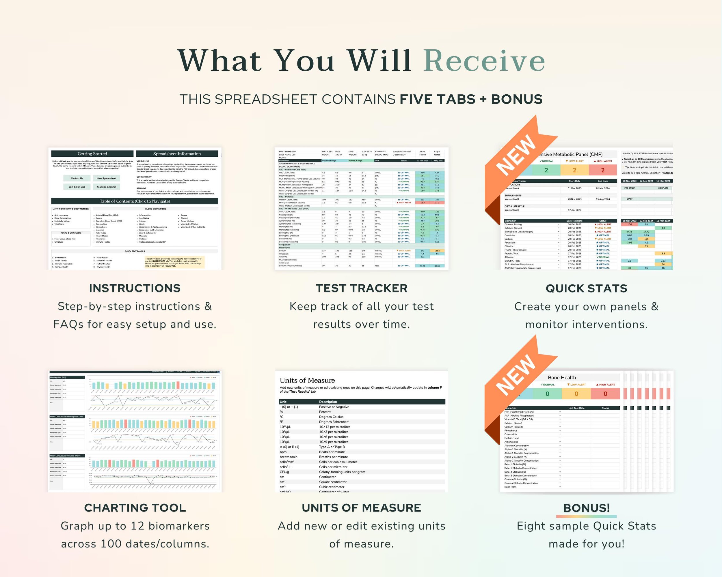 What You Will Receive