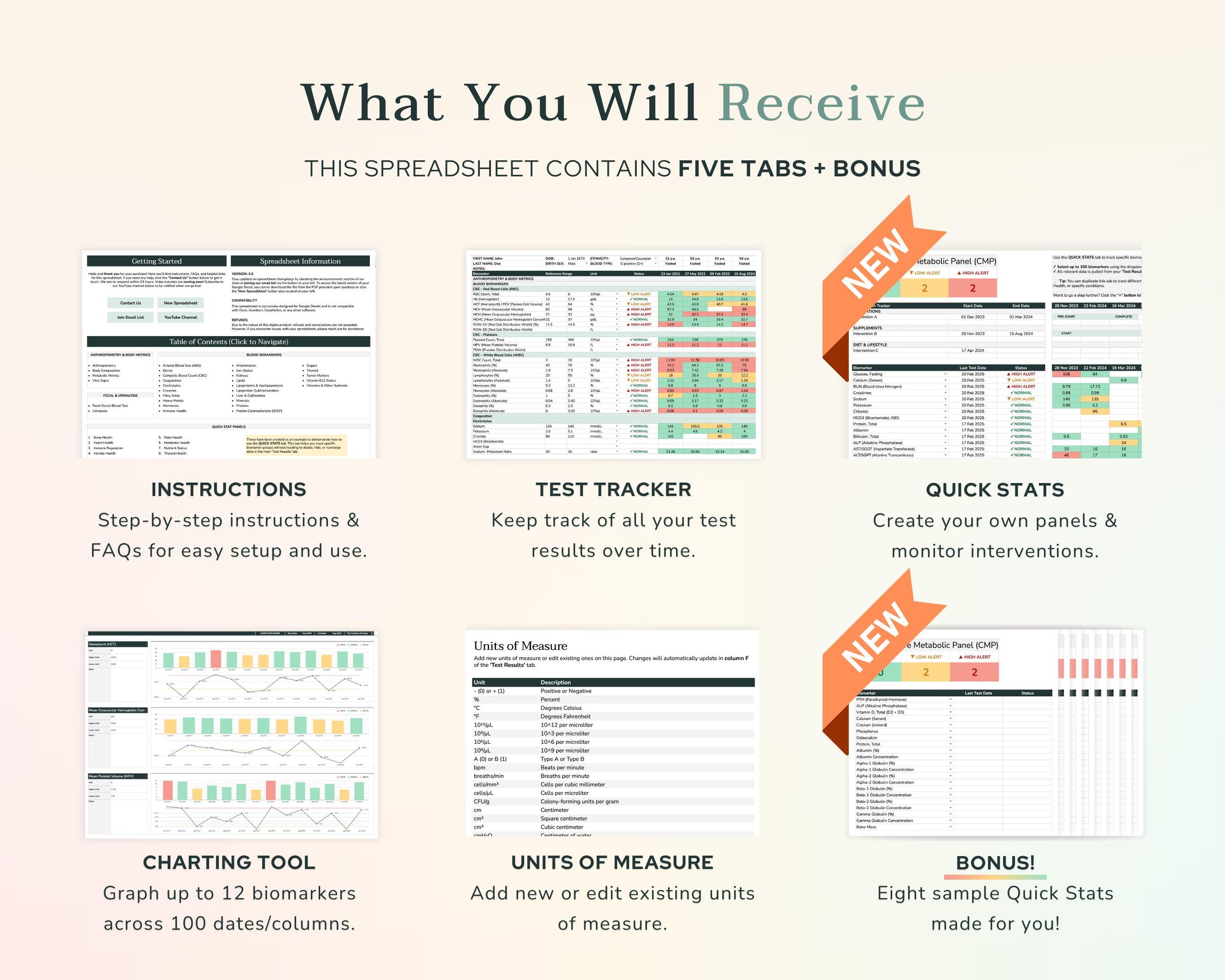 What You Will Receive