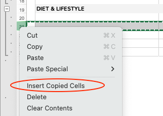 Insert Copied Cells