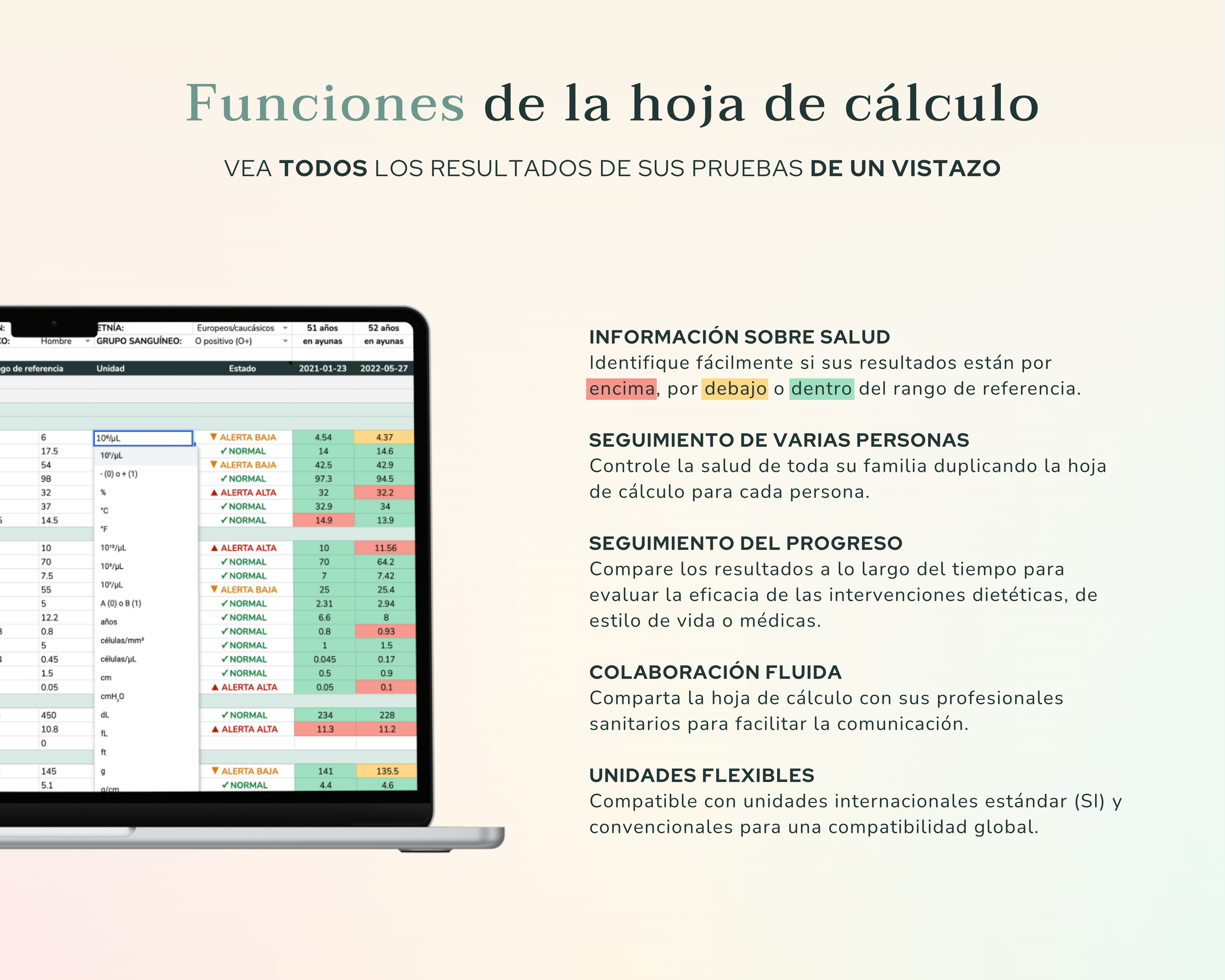 Resumen de Características