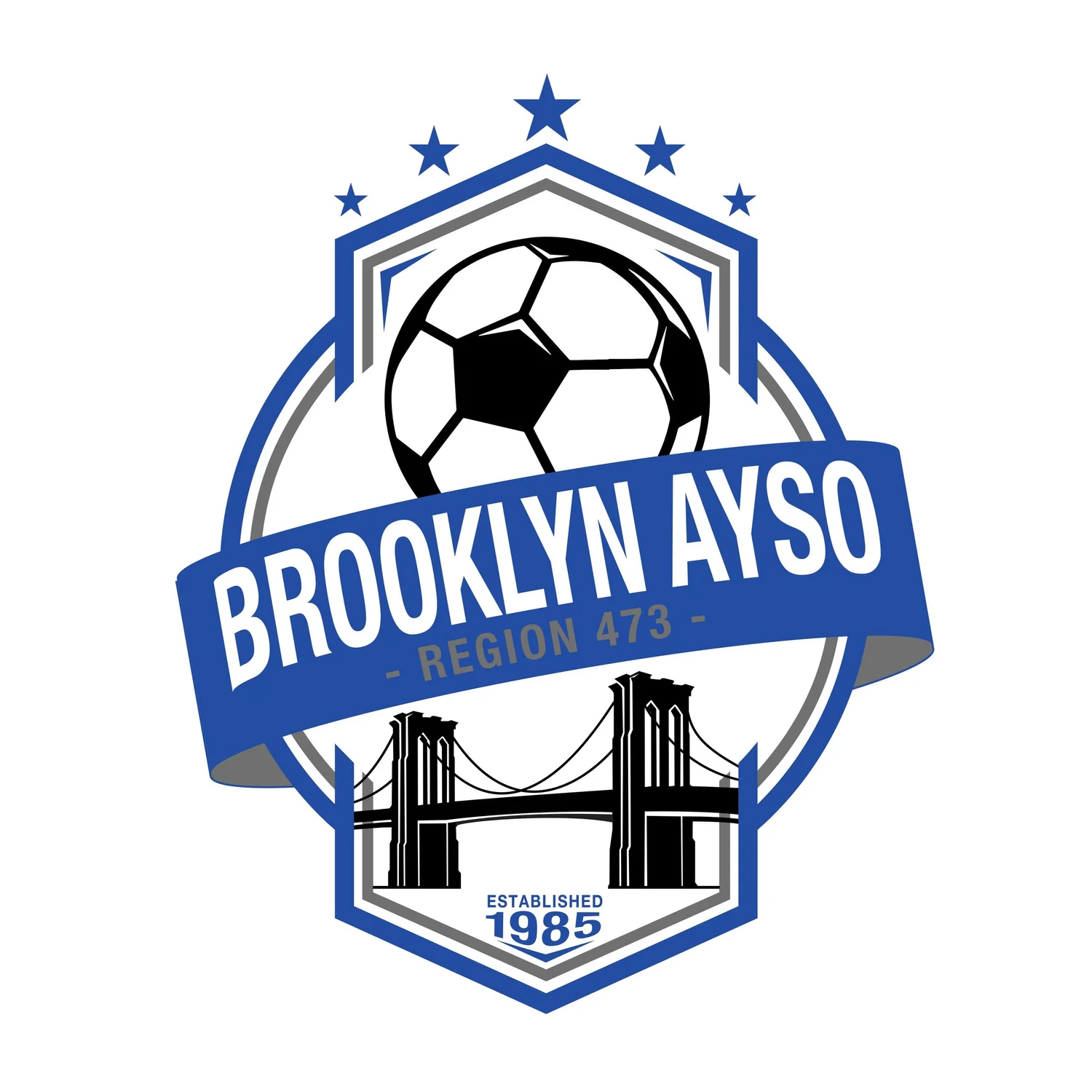Brooklyn AYSO 473 logo
