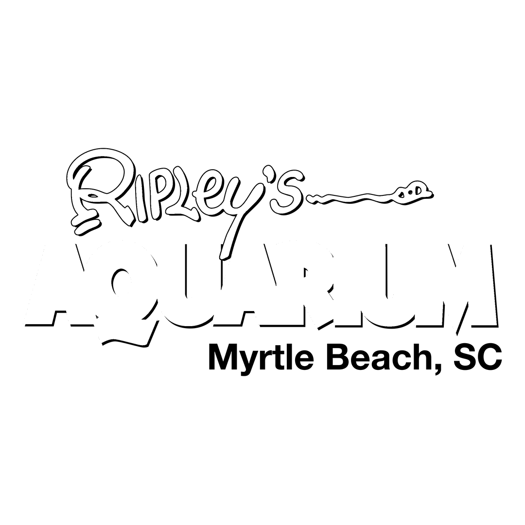 Ripleys Aquarium