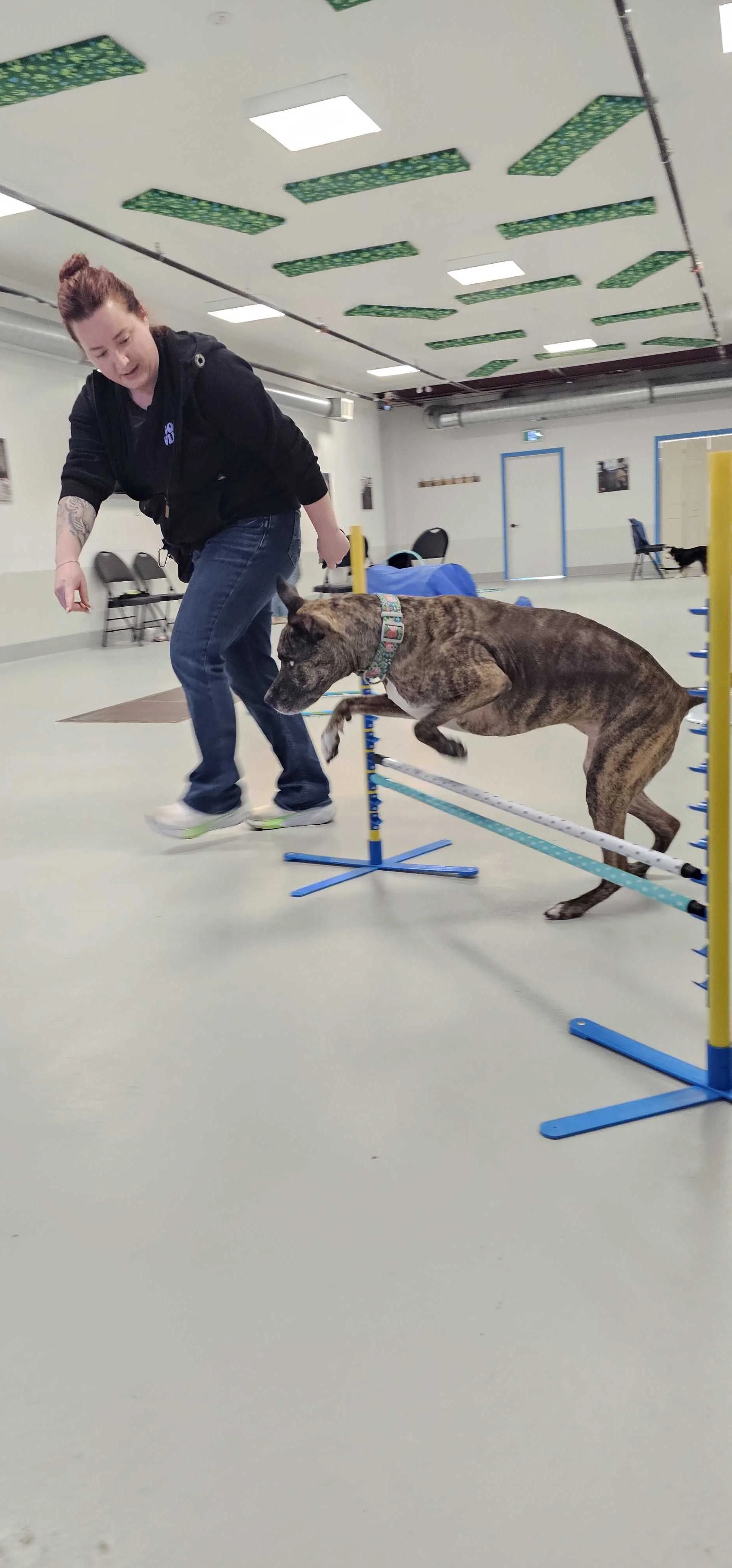A dog and their family at Manners and Tricks class at Airdrie Puppy Pals