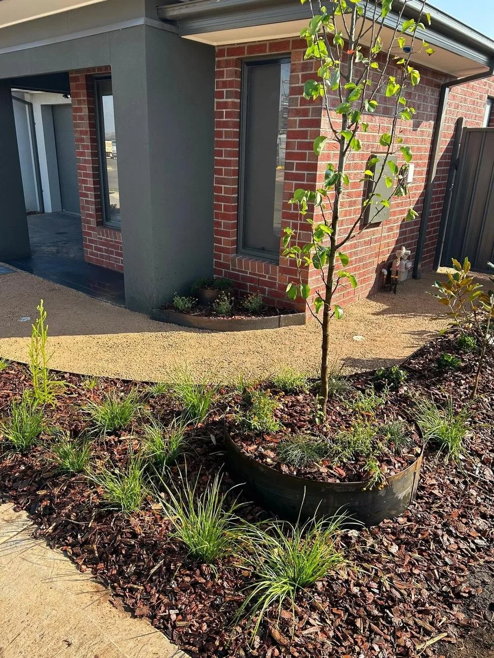 New front yard with mulched beds and native planting