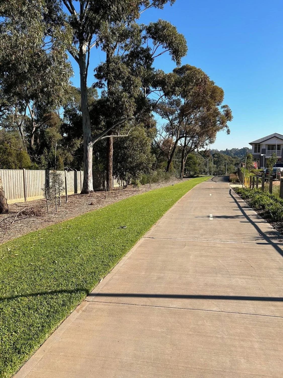 Shared path with mown verge and established gums