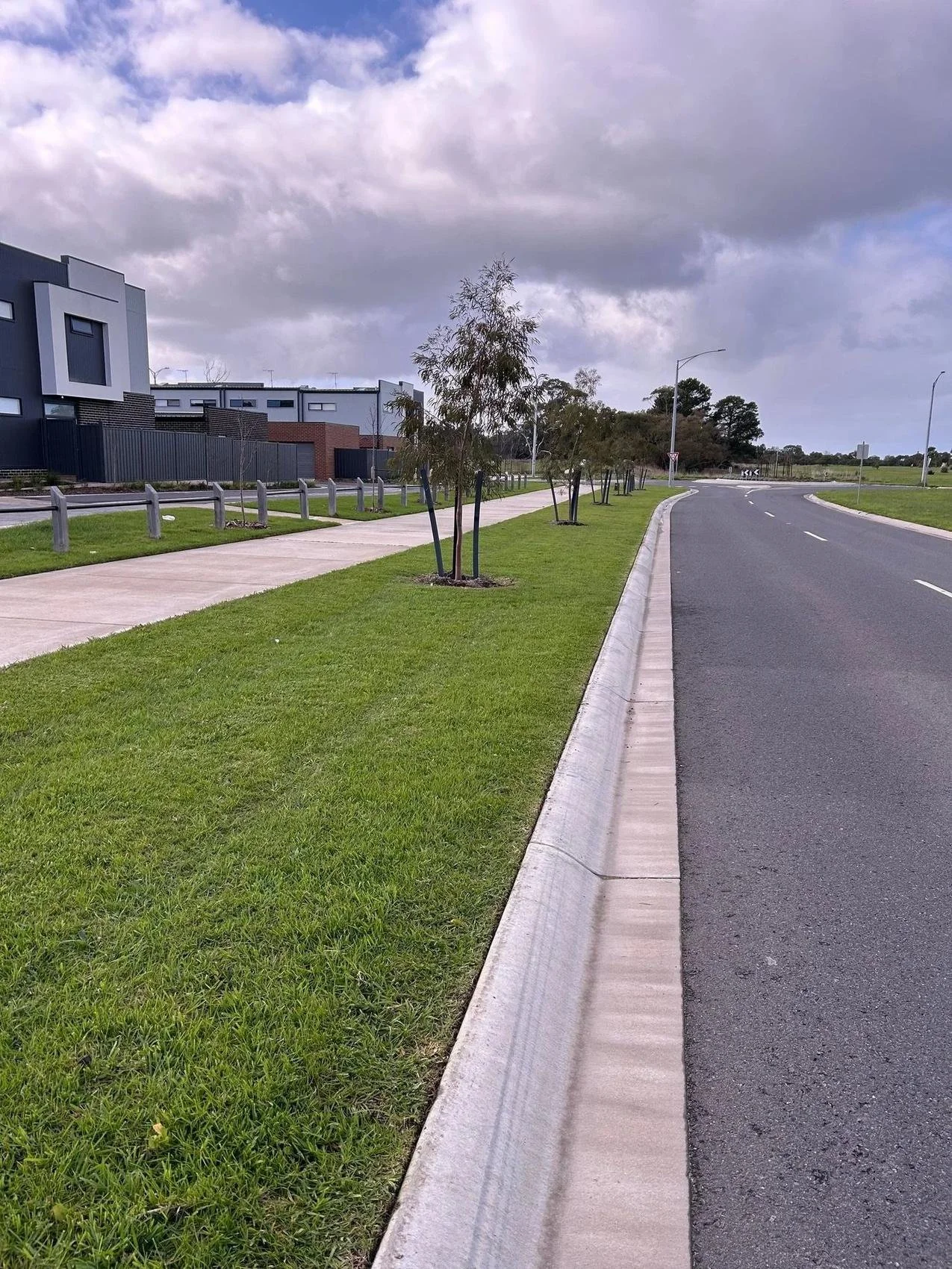 Freshly mown nature strip and median in a new estate