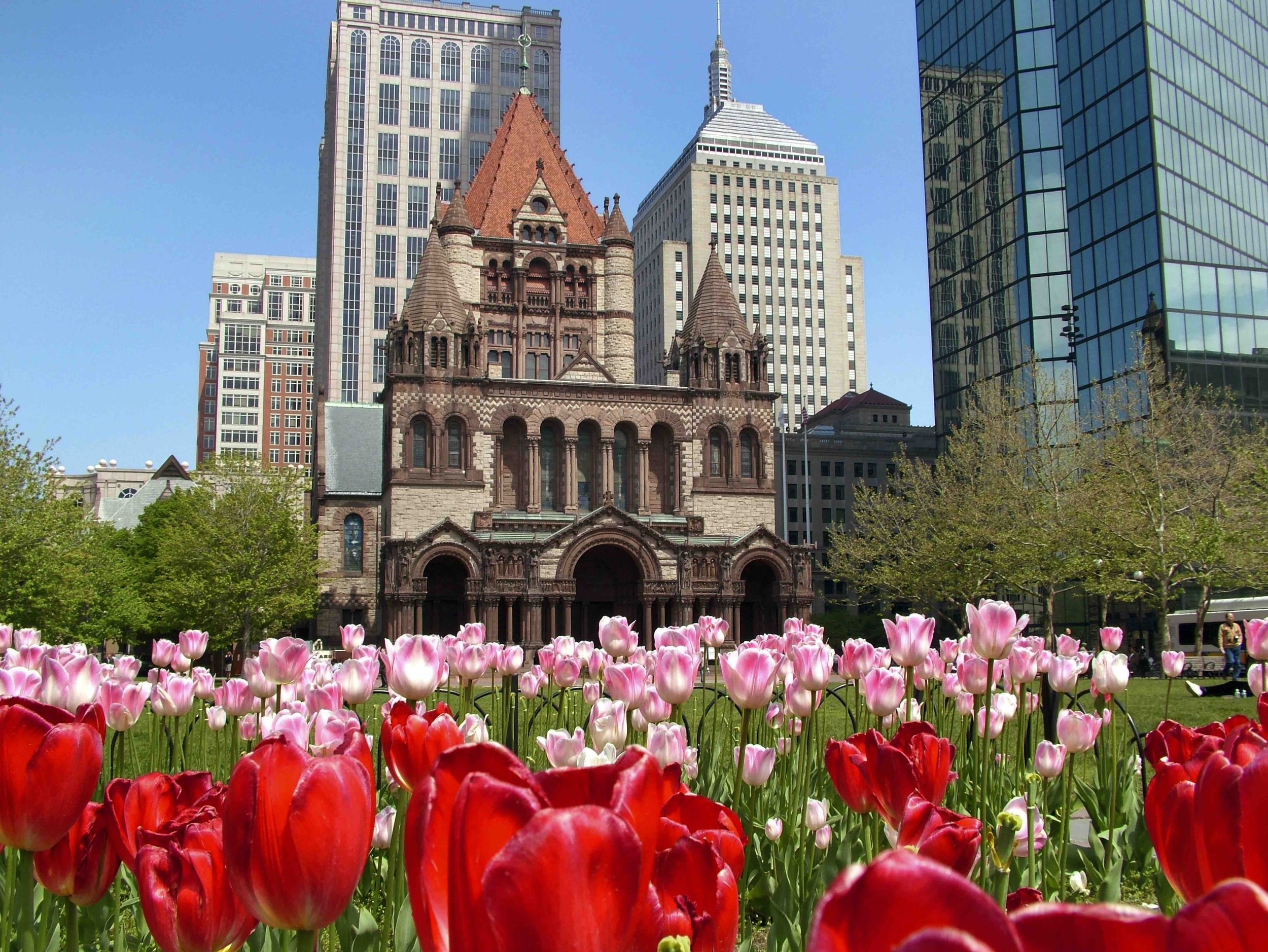 Trinity Church with tulips in Copley Square