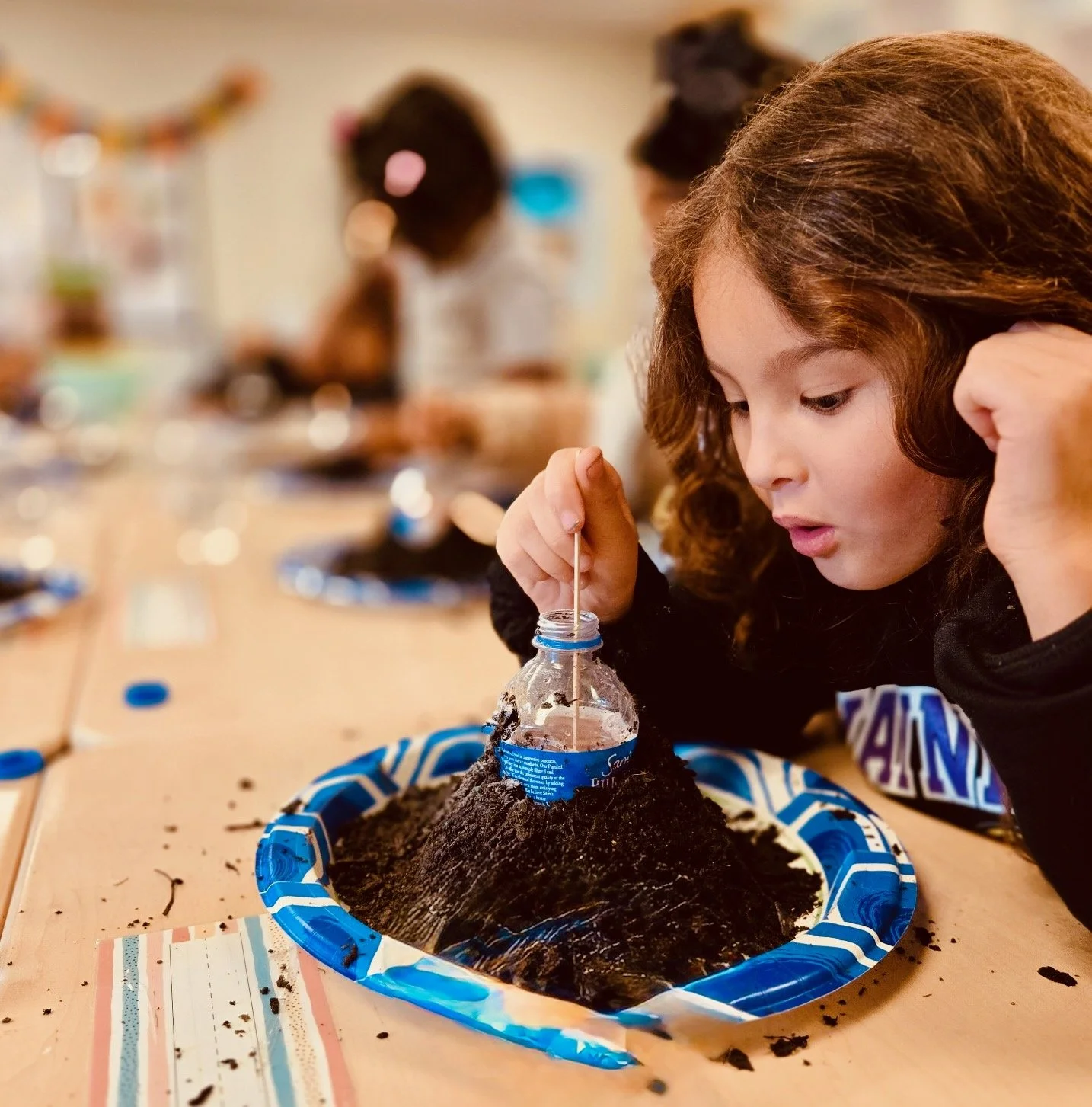 WSA Scholar in Action