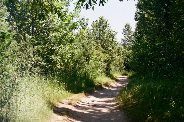 portland summer shot on film