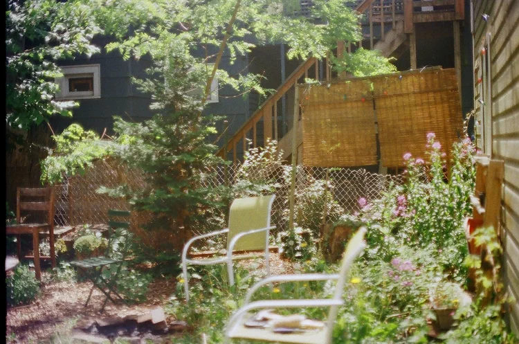 portland summer shot on film