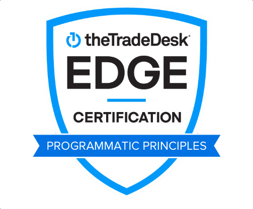 The Trade Desk Edge certification, Programmatic Principles