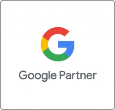 Google Partner badge held by Tocobaga