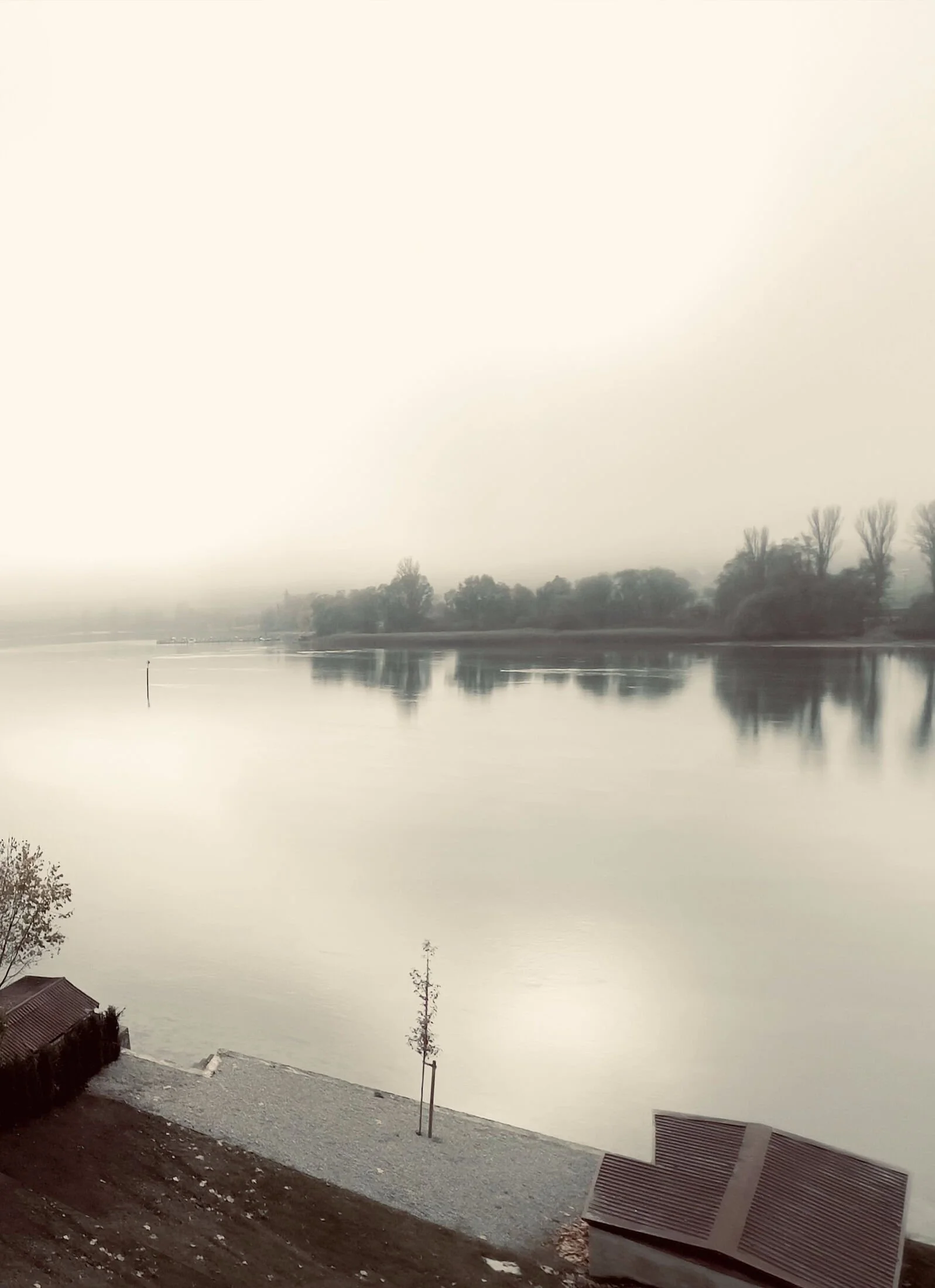 Morning mist over the Untersee