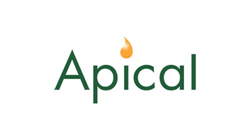 Apical