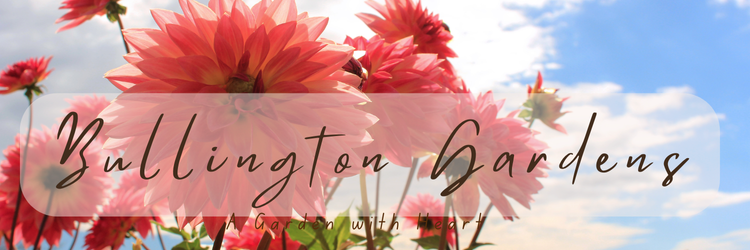 BULLINGTON GARDENS