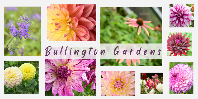 BULLINGTON GARDENS