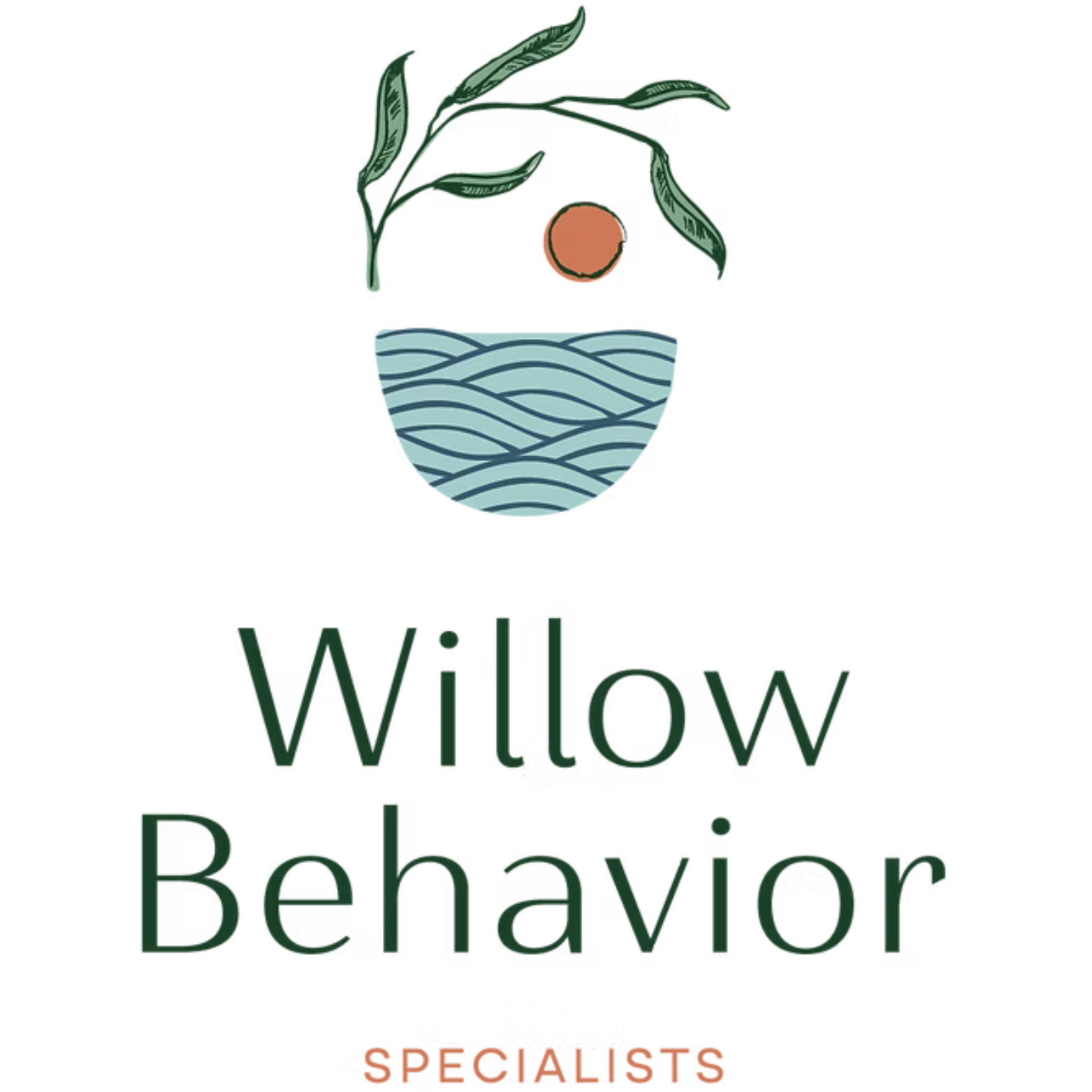 Willow Behavior Specialists