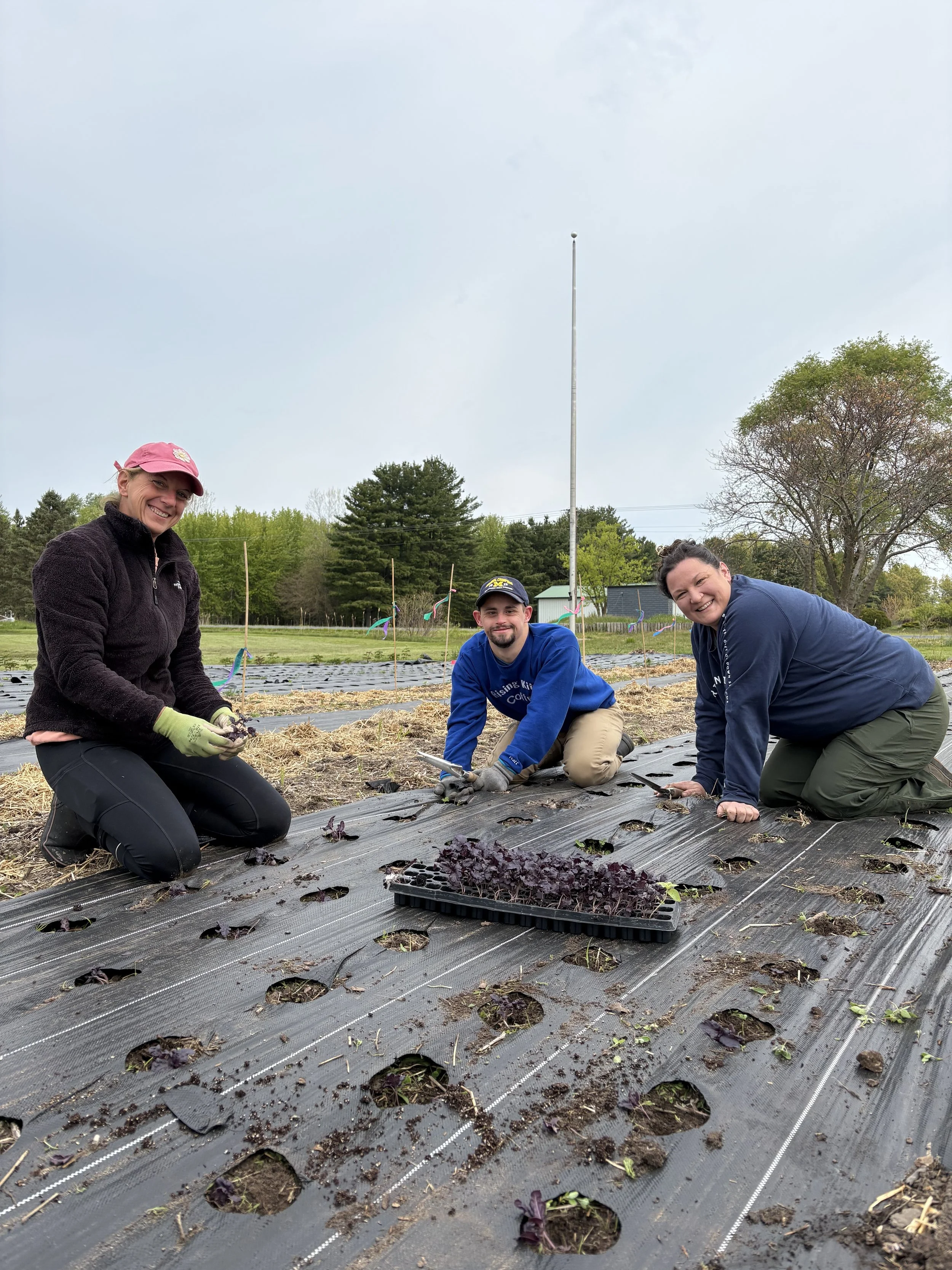 Volunteers working together at the Rising Kites flower field