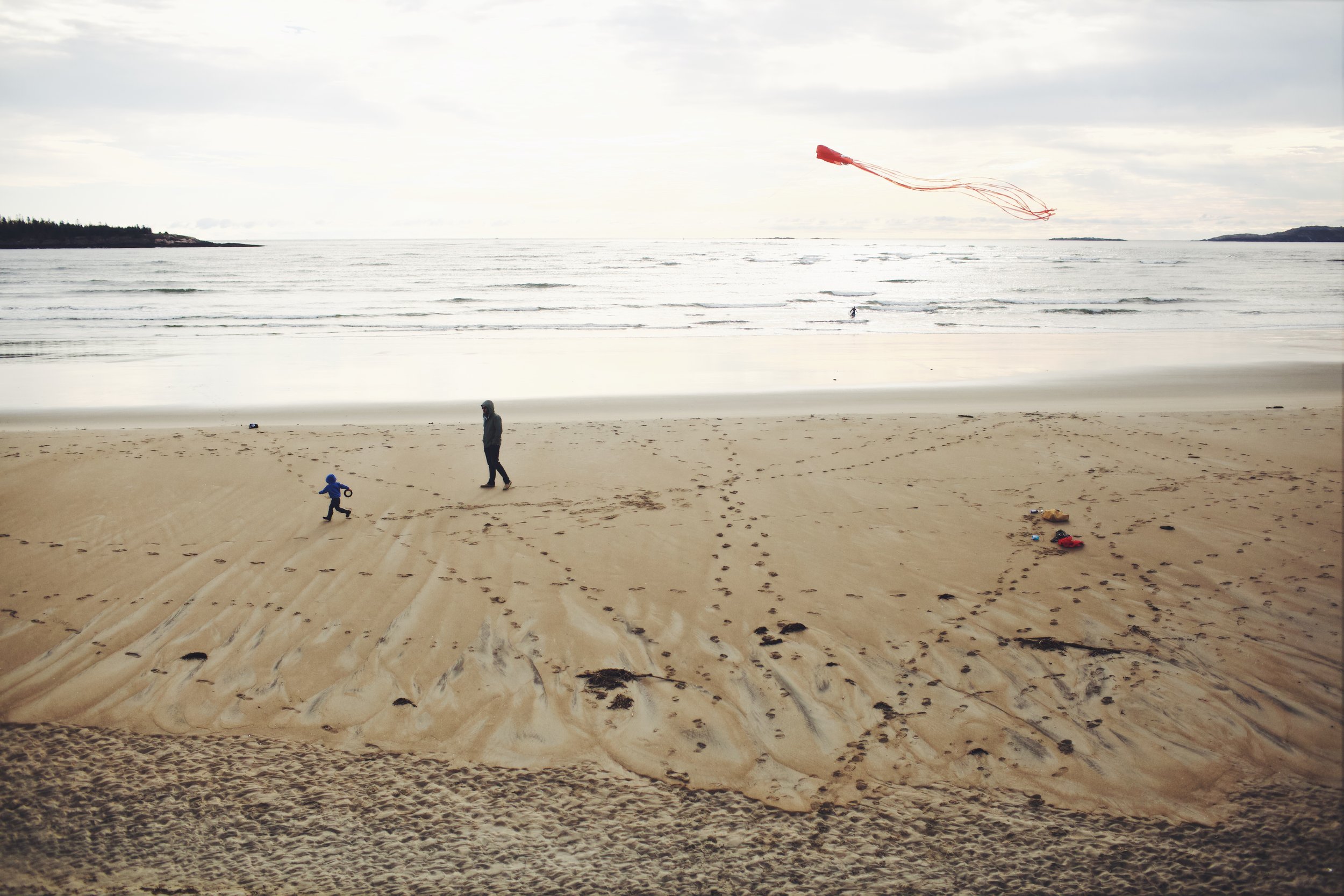 The story behind Rising Kites