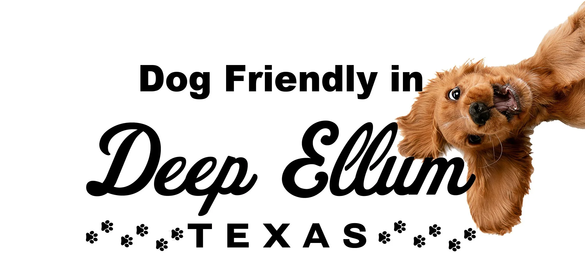 Dog Friendly in Deep Ellum, Texas — a playful dog peeking into the frame.