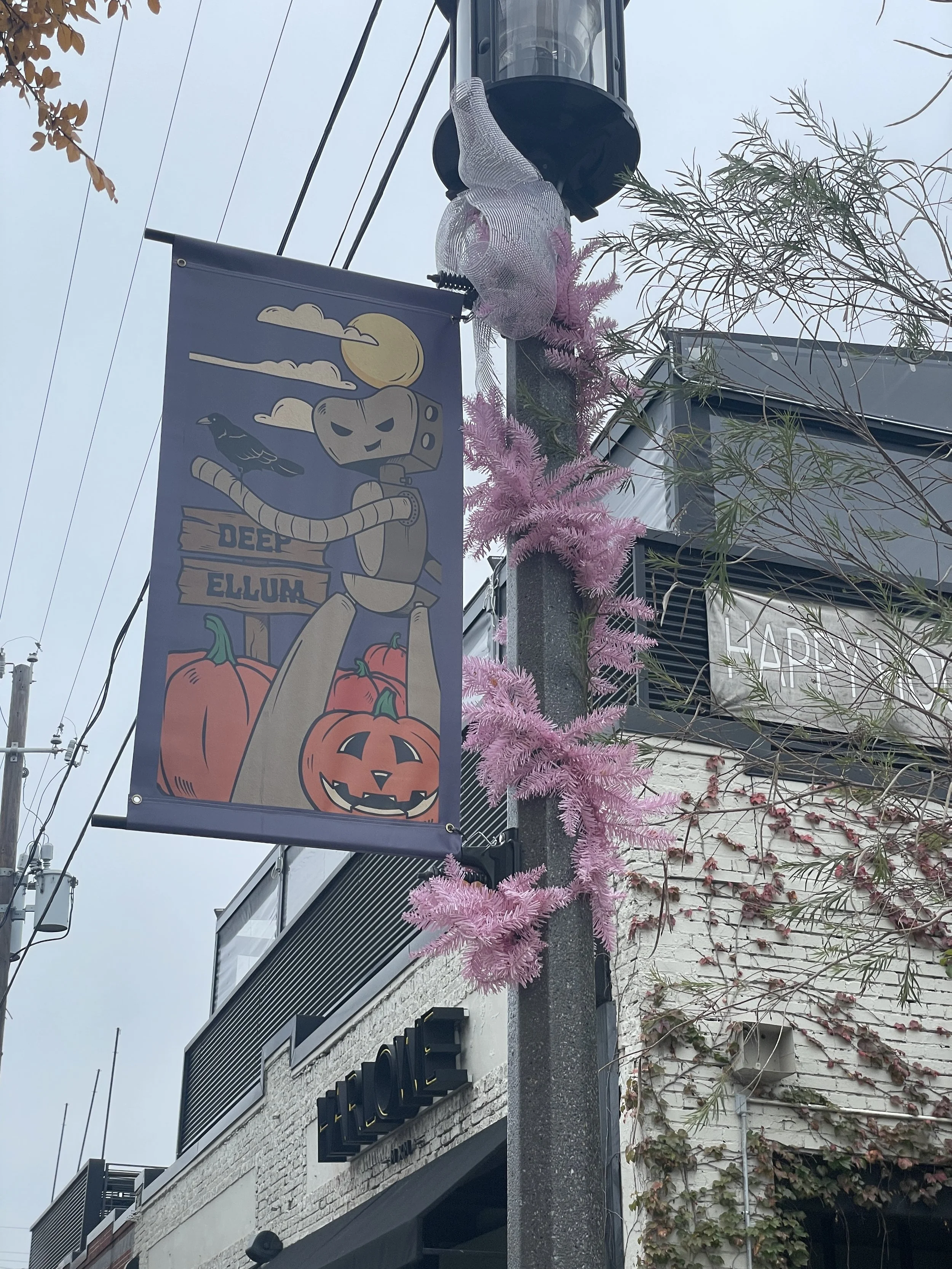 Deep Ellum Halloween streetlight banner featuring Taylor Peterson’s artwork with pumpkins, a crow, and a robot.