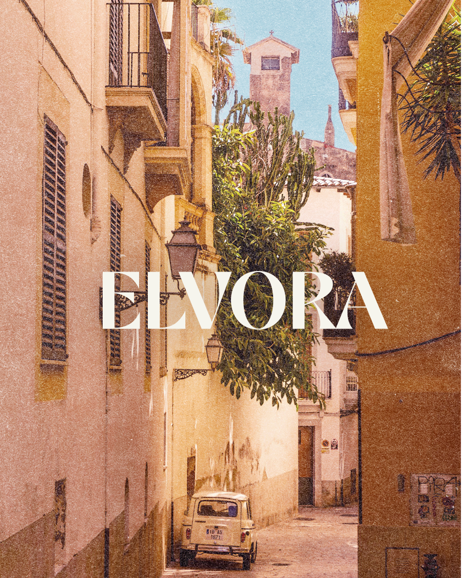 Elvora project image 3