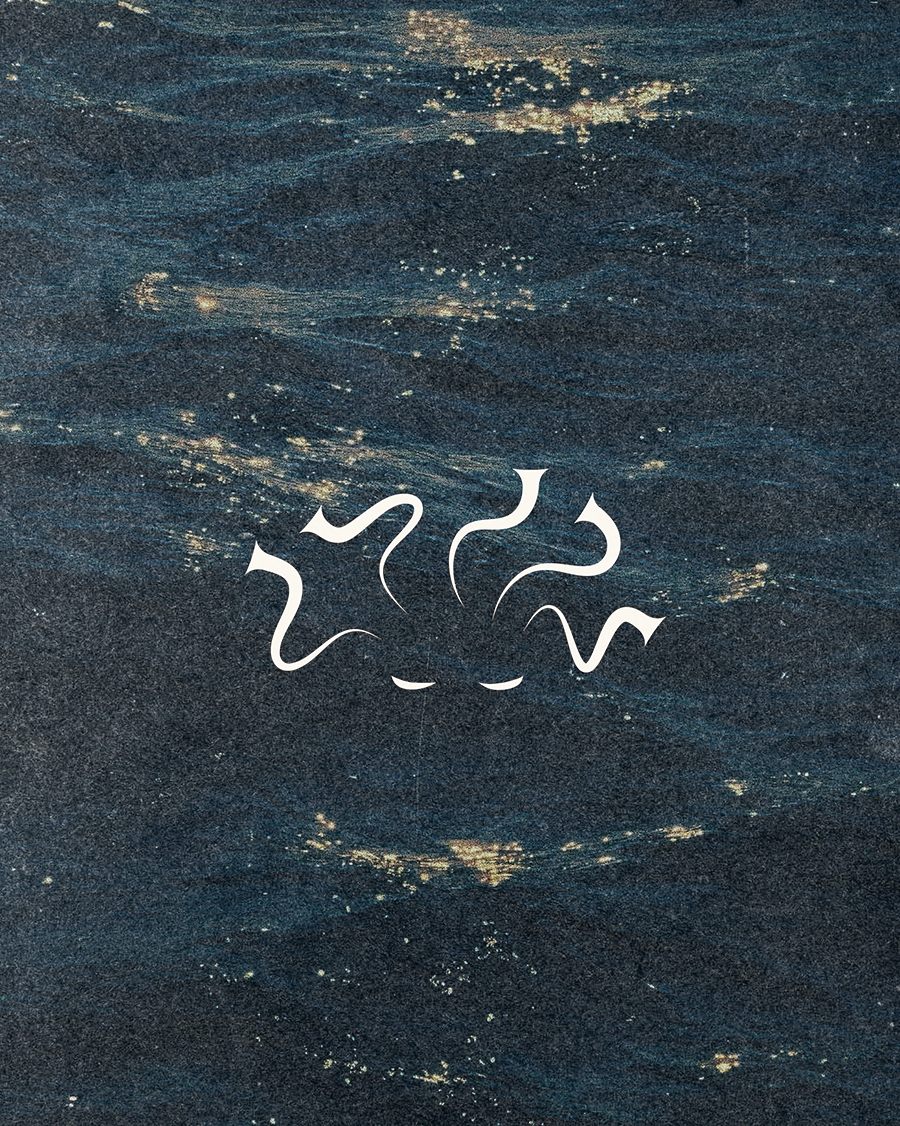Medusa project image 13